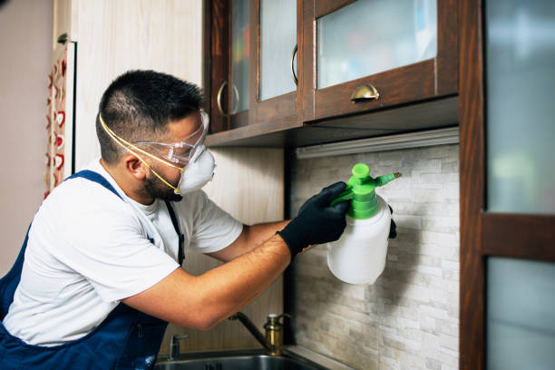 Best Local Pest Control Services  in Lake Mills, WI