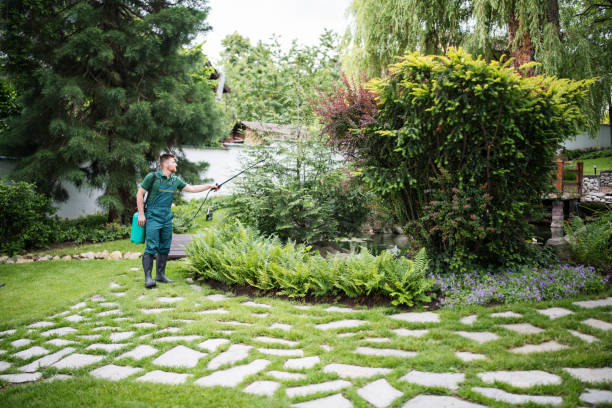 Professional Pest Control in Lake Mills, WI