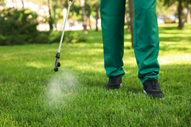 Best Affordable Pest Control Services  in Lake Mills, WI