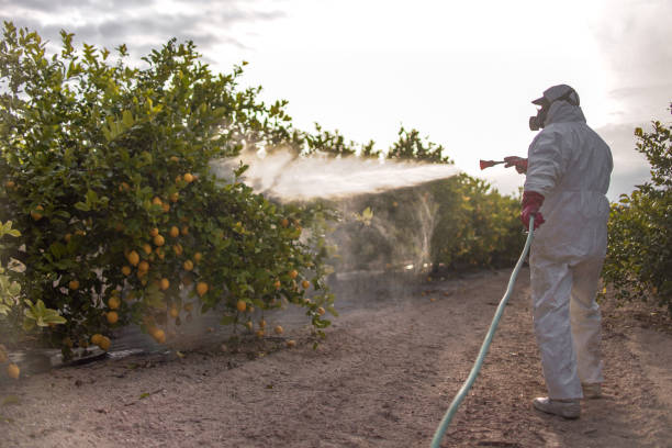 Best Bed Bug Extermination  in Lake Mills, WI