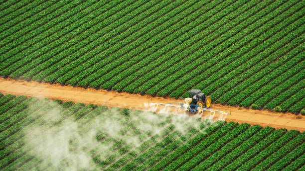 Best Pest Control Treatment  in Lake Mills, WI