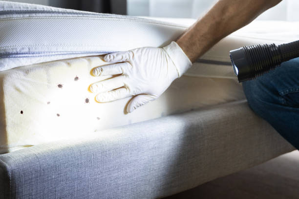 Best Pest Inspection Near Me  in Lake Mills, WI