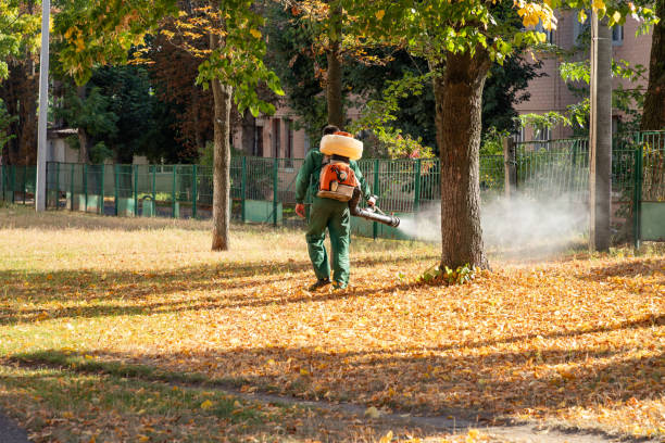 Best Emergency Pest Control  in Lake Mills, WI